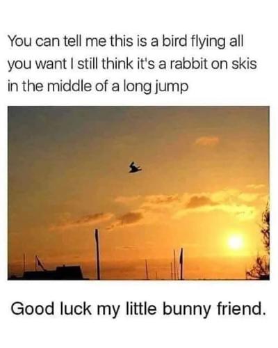 FB_IMG_1671045510397