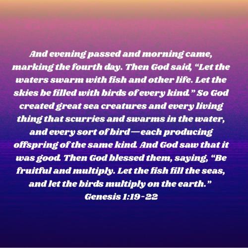 Screenshot_20221205-072803_Bible