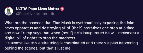 Musk 1