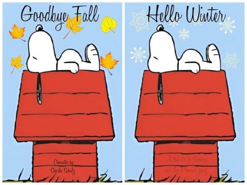 FB_IMG_1671681385950