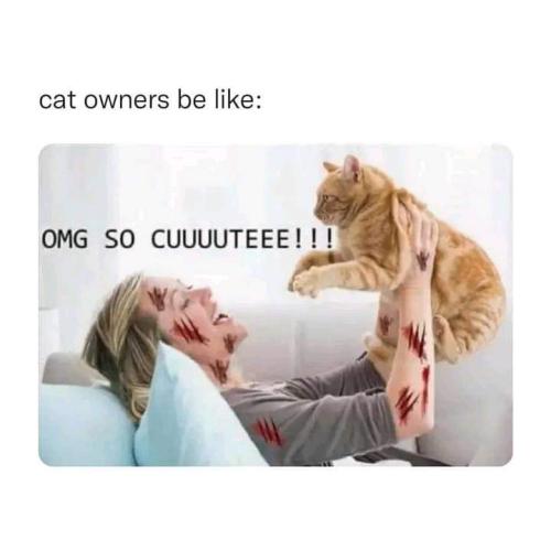 FB_IMG_1671139548880