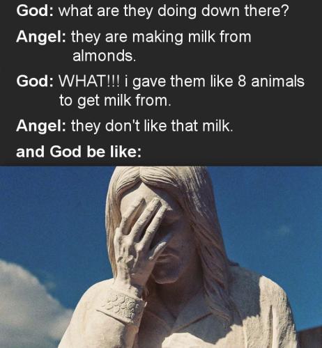they are making almond milk