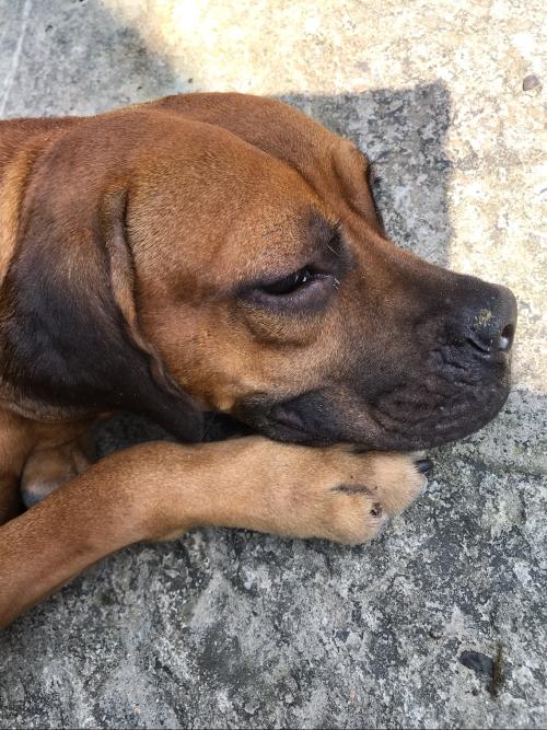 B3E2D94D-0B57-428F-9D1E-AB21626D5402