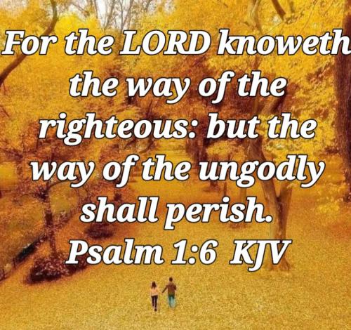 04:46:56 GMT-0800 (PST)