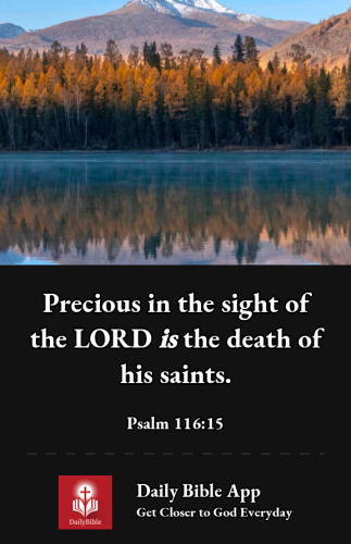 2022-12-011669939888345