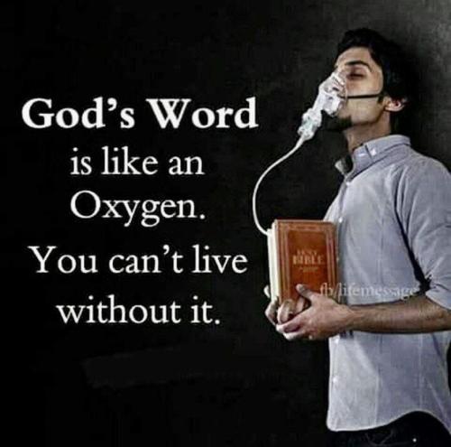 IMG_20221209_193543_702