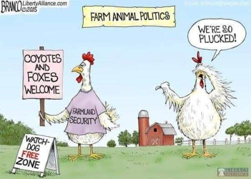 FB_IMG_1670939909399