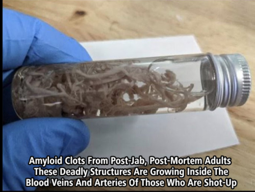 Screenshot_2022-12-14-04-29-07_kindlephoto-90376451