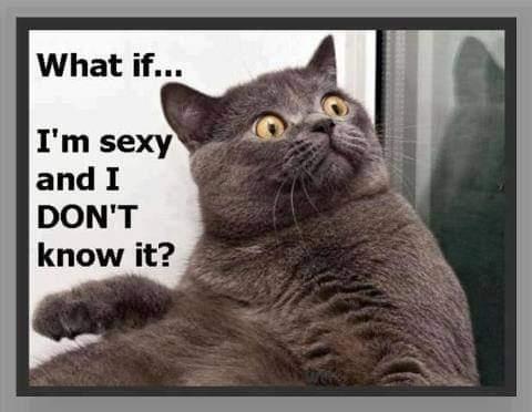 2cb2c878-c22f-4feb-97ba-f7d3066663f5