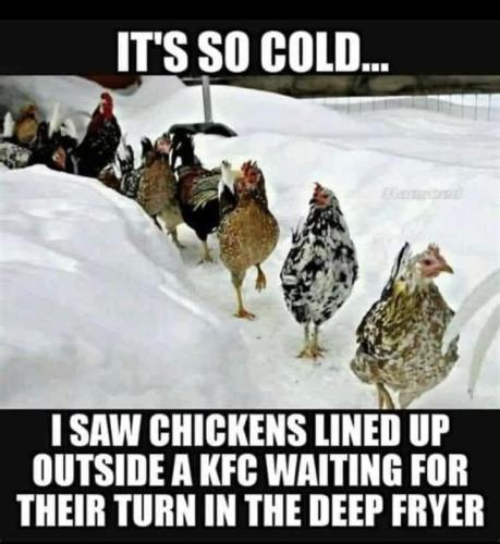 FB_IMG_1672435102027