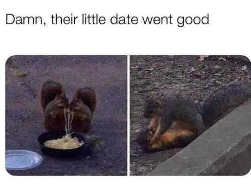 FB_IMG_1671414204657