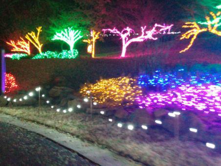 1a12b0e0-7b1e-4076-81d5-75cbdcadde55