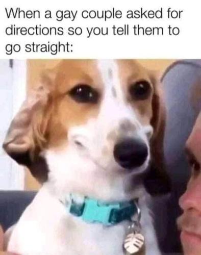 317905542_653275073171478_7066661480943107627_n