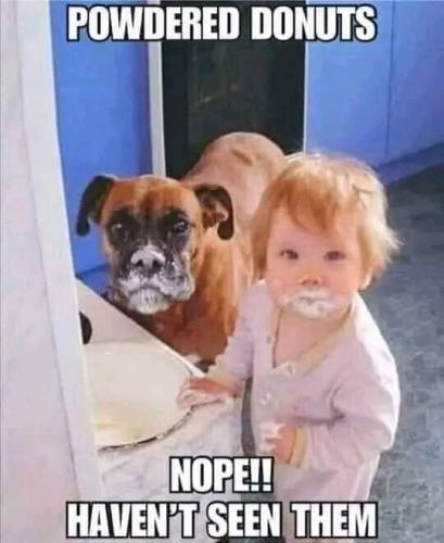 FB_IMG_1672435177054