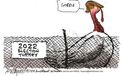 payn_c19437420221115094549-500x310