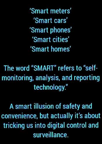 3B397032-31EA-4C2C-9DDF-7812A189B291-48419-0000089731504D1D