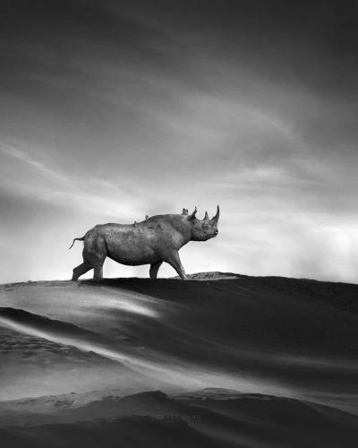 319306817_8740408465977017_6121860298461240103_n