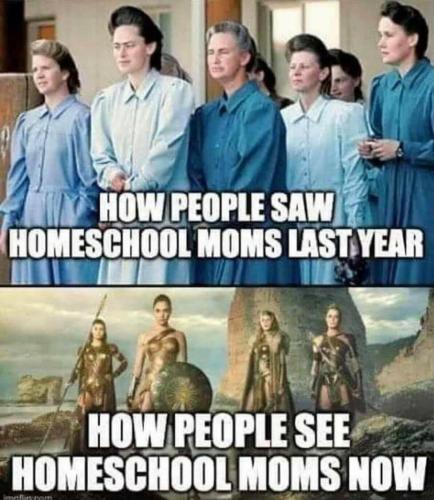 Homeschool Moms 1