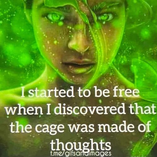 0345a4eb-eefd-45a4-bd42-3708aa720330