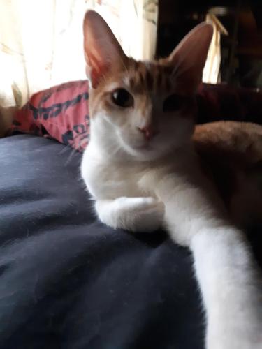 18d85e7f-4b44-4c1a-b4c8-a898a3b3a075