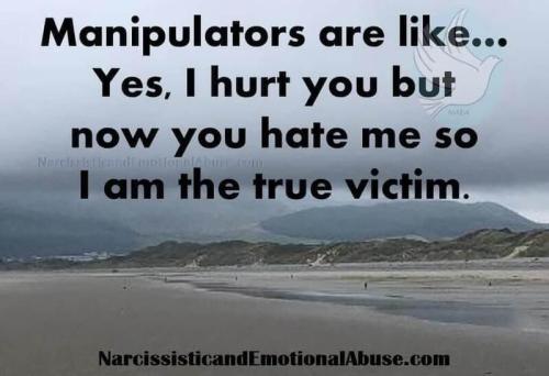 narsicists are victims