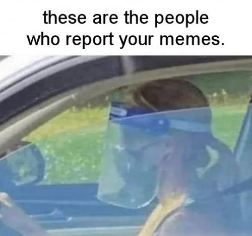 these are the people who report your memes