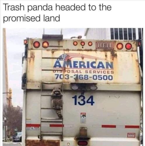 317566889_129394699933550_7706968324154661909_n