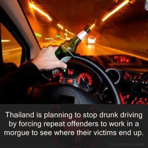 FB_IMG_1671542008232