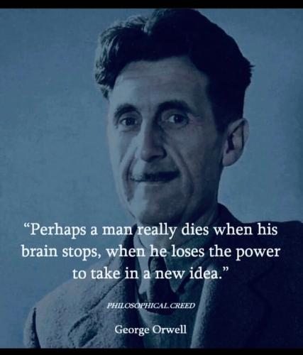 Screenshot_2022-12-04-21-45-30-77_1c337646f29875672b5a61192b9010f9