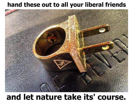 liberals317