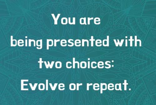 c9ad4f81-3fa2-4b30-b0d3-94c49eb7d0f8