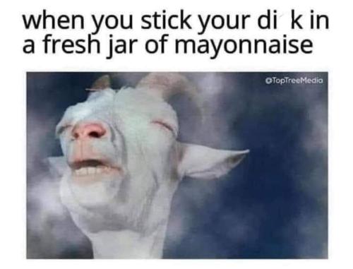 FB_IMG_1671723748611