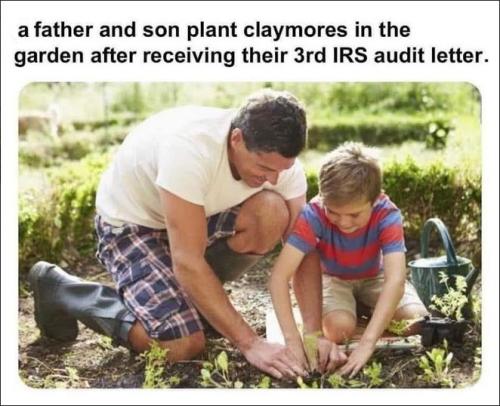 irs74