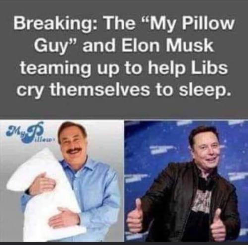 FB_IMG_1670252839698