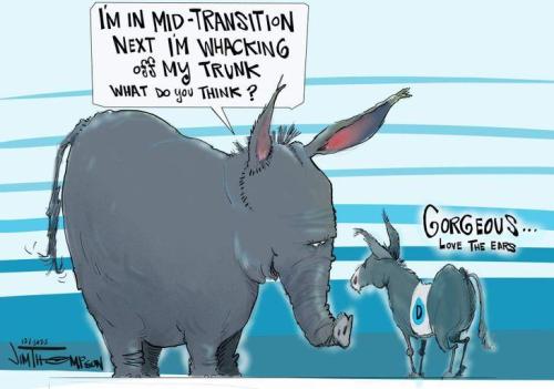 f9e9bfac-b75f-4f17-a5ca-0975cea4730a