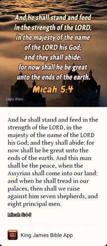 FB_IMG_1669935609740