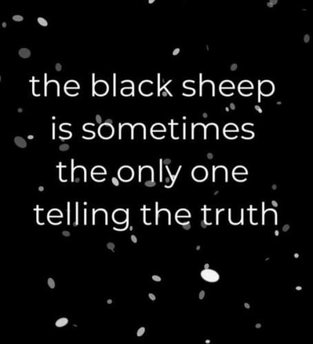 tumblr_501cbb8ab5a14e84ee2353908ea92a9f_51f175fa_540