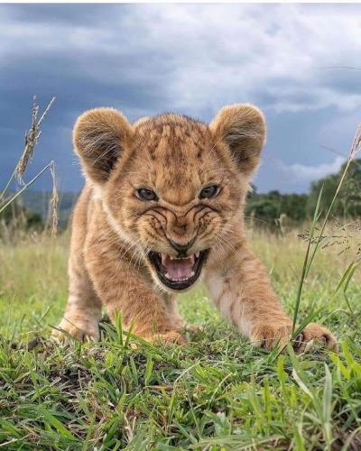 318571562_10231476941173729_7300724478314590405_n