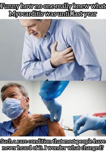 050B2581-3A86-4AA5-8FBD-5D897EBEECAF