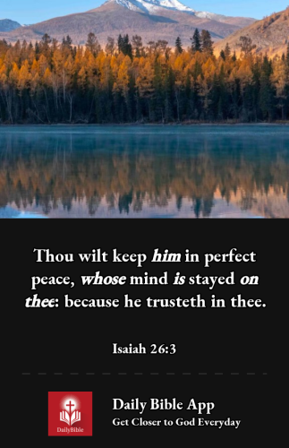 2022-12-291672368580677