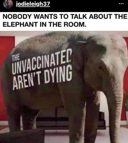 Screenshot_2022-12-22-11-20-06-28_1c337646f29875672b5a61192b9010f9