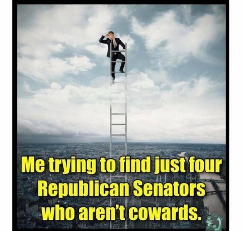 7d342955-541d-4825-9851-3f7aee023954