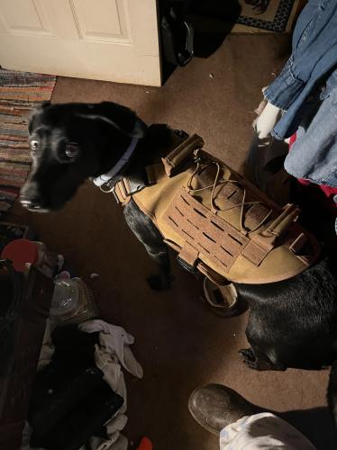 77EEBE3D-FDC2-4E3E-B8F3-605F561A0F02