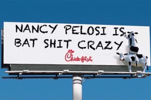 Pelosi 3