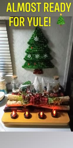 orca-image--939415351