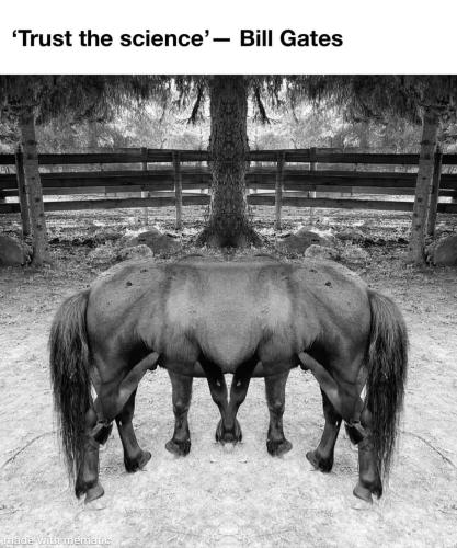 FB_IMG_1671683601495