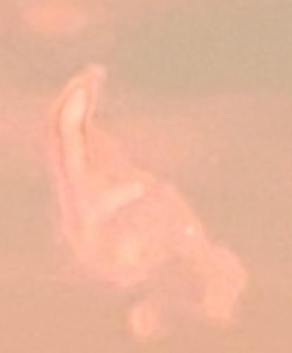 20221227193718