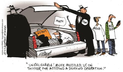 payn_c19505220221220114613-800x0