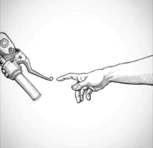 FB_IMG_1671241834627