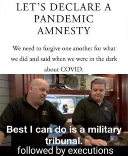 amnesty16